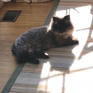 Meet your Posher, Mike